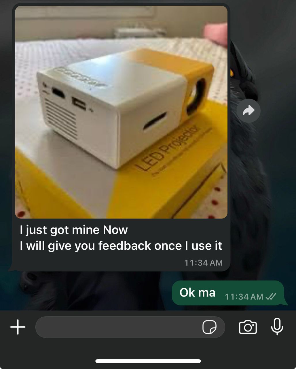 WhatsApp Image 2025-02-25 at 11.35.03 AM